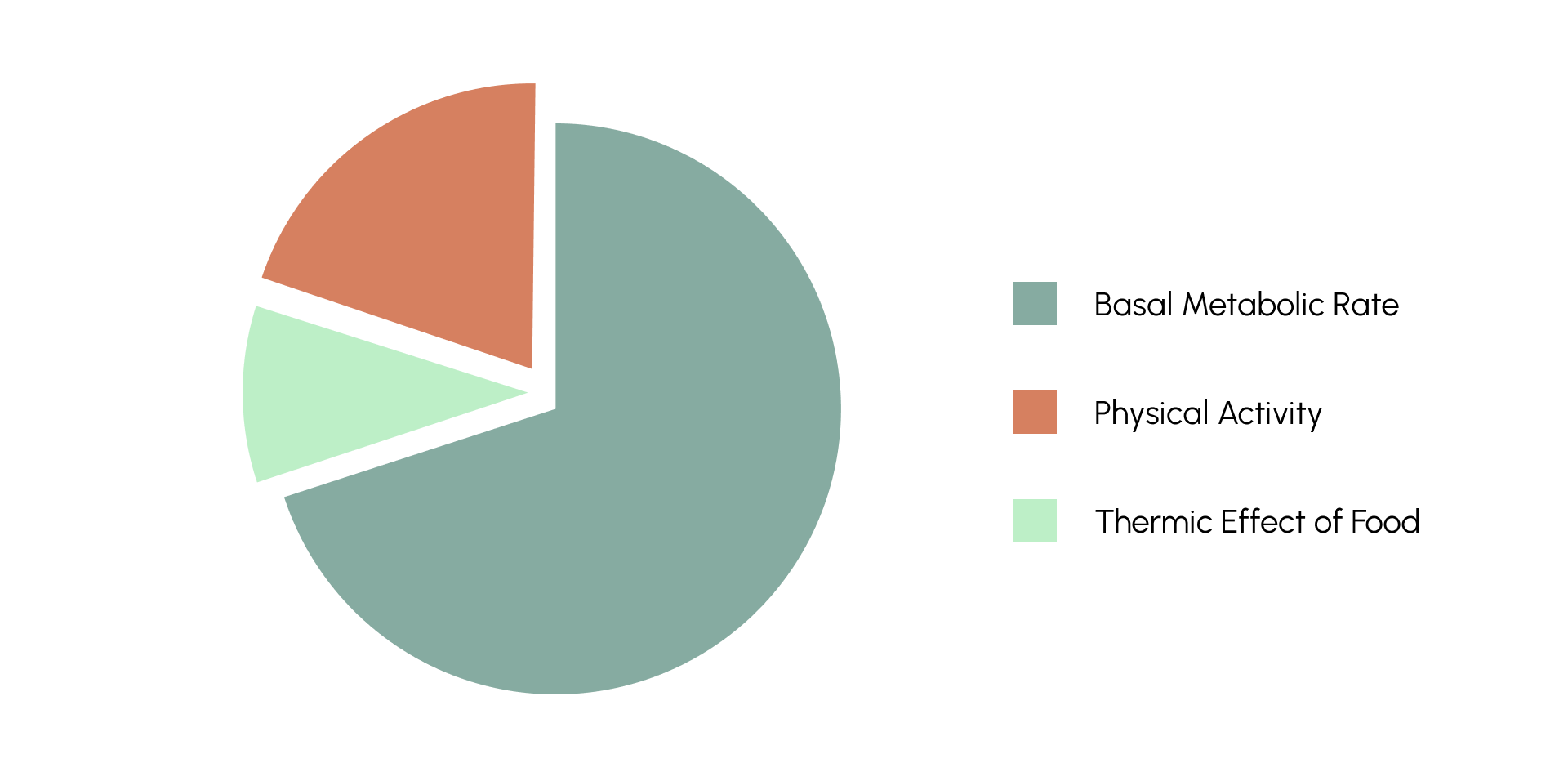A pie chart showing the Total Daily Energy Expenditure. Basal Metabolic Rate takes about 70%, Physical Activity about 20% and Themic Effect of food about 10%
